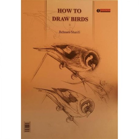 How To Draw Bırds