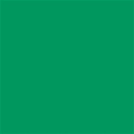 Talens Amsterdam Standard Akrilik Boya 500 ml 615 Emerald Green
