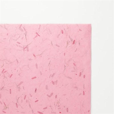 Awagami Japon Kağıdı Tamarind Pink 30 Gr/M2 97X64 Cm