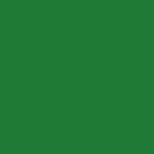 karin-hat-murekkebi-501-yesil-45-ml - kartela (Yeşil)
