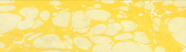 Karin Ebru Boyası 201 Pigment Sarı 105 ml