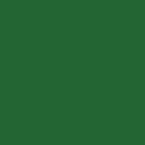 winsor-newton-winton-yagli-boya-37ml-sap-green-599 - kartela (Sap Green 599)