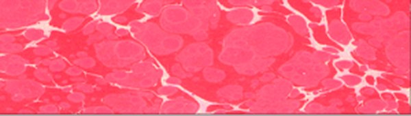 Karin Ebru Boyası 301 Pigment Kırmızı 105 ml