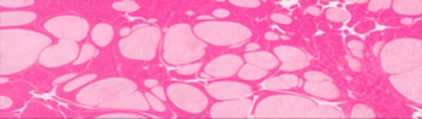 Karin Marbling Paint 305 Rose Pink 105 ml