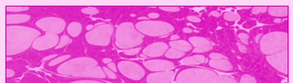 Karin Ebru Boyası 310 Florasan Magenta 105 ml