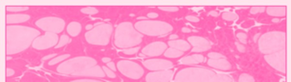 Karin Marbling Paint 311 Pink 105 ml