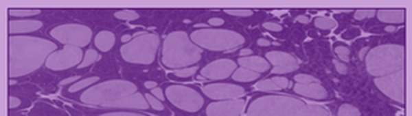 Karin Marbling Paint 312 Violet 105 ml