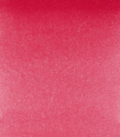 RUBY RED DEEP