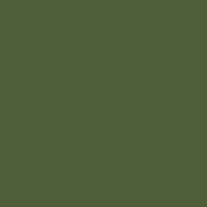 talens-guaj-boya-16-ml-620-olive-green - kartela (Olive Green)