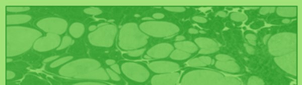 Karin Marbling Paint 506 Fluorescent Green 105 ml