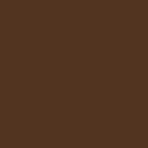 winsor-newton-winton-yagli-boya-37ml-raw-umber-554 - kartela (Raw Umber 554)