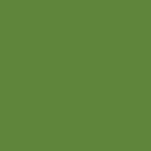 winsor-newton-winton-yagli-boya-37ml-oxide-of-chromium-459 - kartela (Oxide Of Chromium 459)
