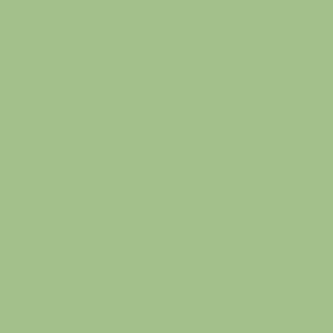 winsor-newton-winton-yagli-boya-37ml-terre-verte-637 - kartela (Terre Verte 637)
