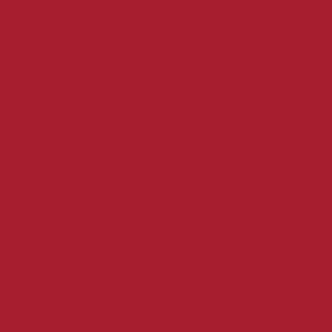 winsor-newton-winton-yagli-boya-37ml-cadmium-red-deep-hue-098 - kartela (Cadmium Red Deep Hue 098)