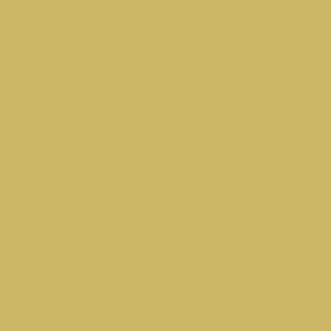 talens-guaj-boya-16-ml-802-light-gold - kartela (Light Gold)