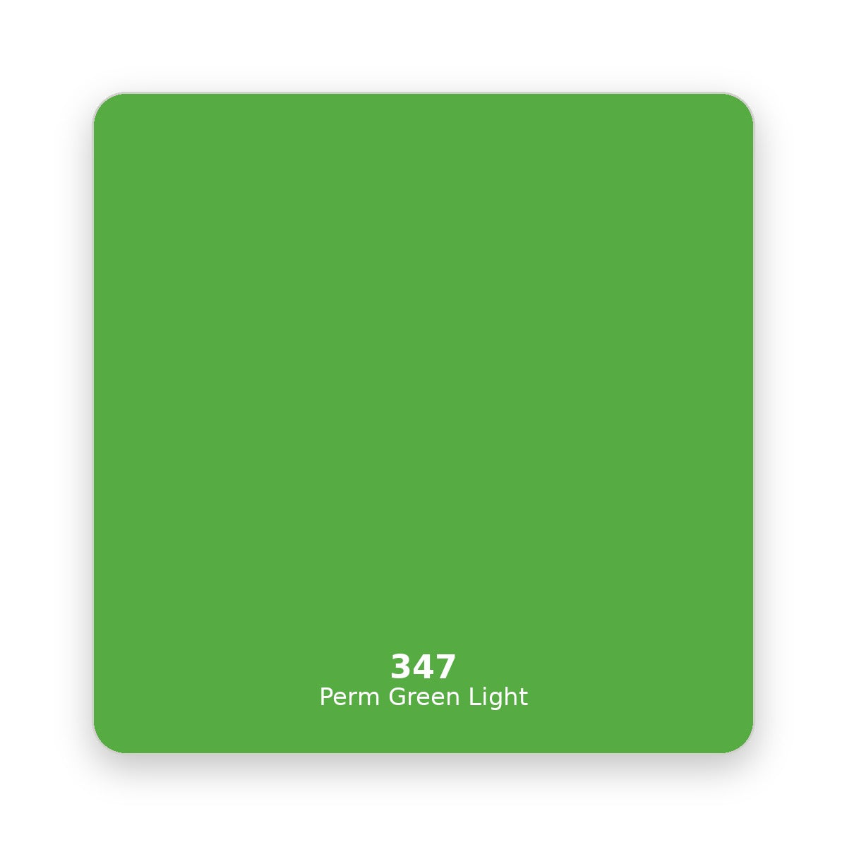Daler Rowney Georgian Oil Paint 225 ml 347 Perm Green Light