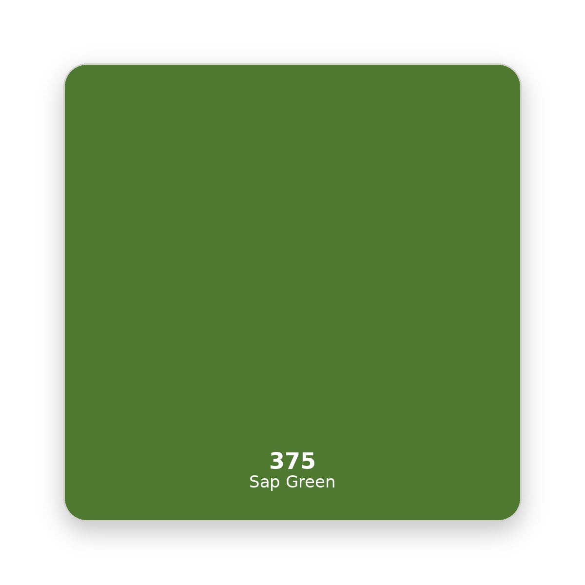 Daler Rowney Georgian Oil Paint 225 ml 375 Sap Green