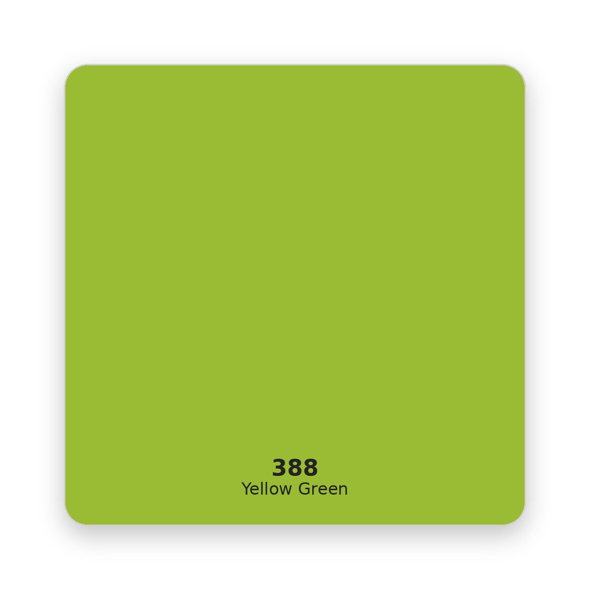 Daler Rowney Georgian Oil Paint 225 ml 388 Yellow Green