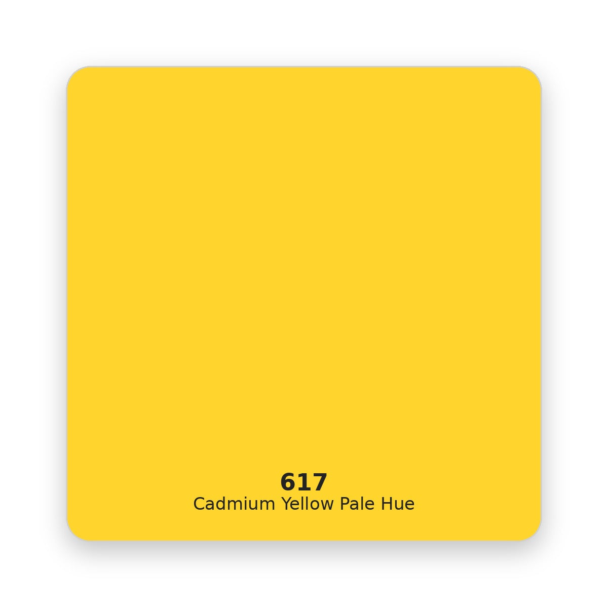 Daler Rowney Georgian Yağlı Boya 225 ml 617 Cadmium Yellow Pale Hue