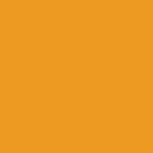 winsor-newton-winton-yagli-boya-37ml-cadmium-yellow-hue-109 - kartela (Cadmium Yellow Hue 109)
