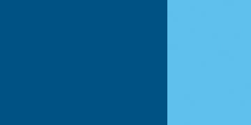 PARIS BLUE