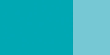 TURQUOISE BLUISH
