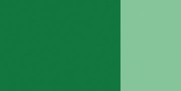 FIR GREEN