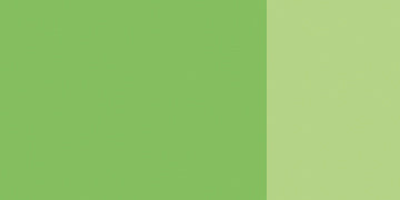 PERMANENT GREEN LIGHT