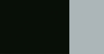 IVORY BLACK