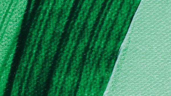 Schmincke Akademie Acrylic Paint 120 ml 553 Phthalo Green Light