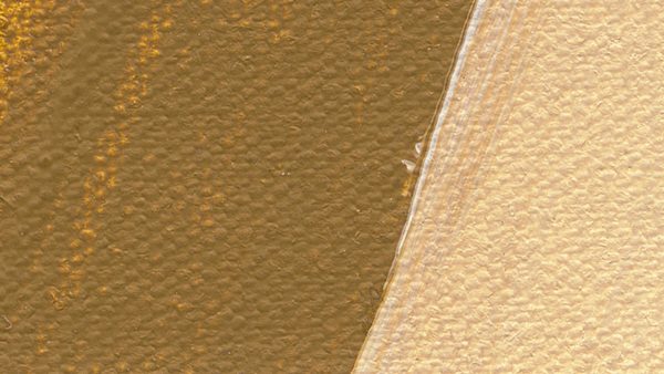 Schmincke Akademie Acrylic Paint 120 ml 656 Raw Umber Light