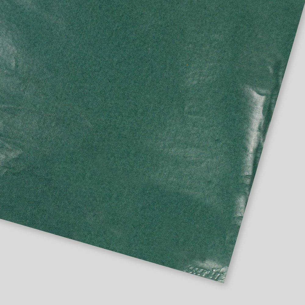 Ahar Awagami Japanese Paper 70x100 cm Duck Head Green 65 gr