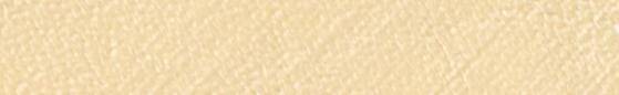 Angelus Leather Paint LP-156 Champagne