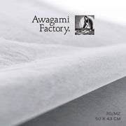 Awagami Factory Fuji Kozo 3G 3 G/M2 50x43 cm 10-Sheet Pack
