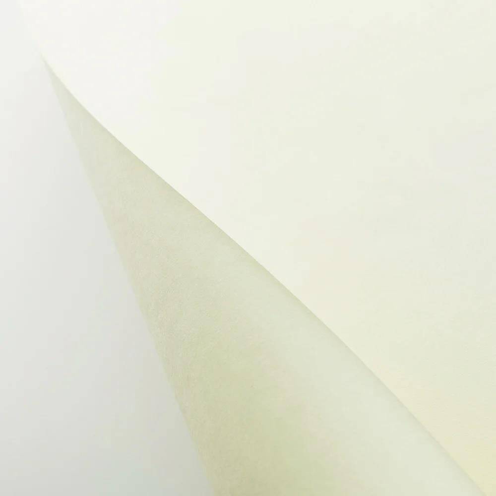 Awagami Japon Kağıdı Shin Inbe Pearl White 105 Gr/M2 109.1X78.8 Cm