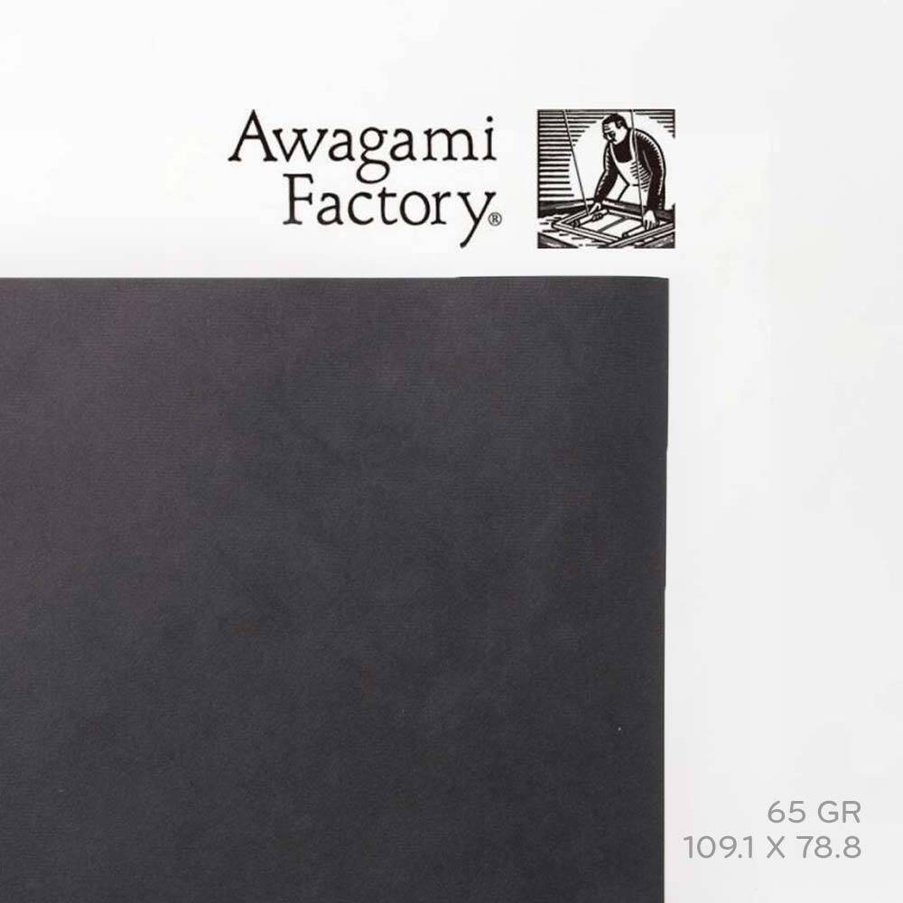 Awagami Japon Kağıdı Shin Inbe Thin Eggplant 65 Gr/M2 109.1X78.8 Cm