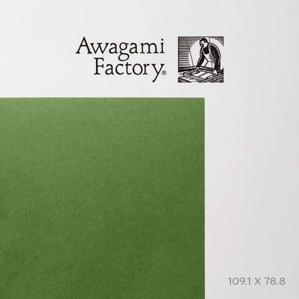 Awagami Japon Kağıdı Shin Inbe Thin Moss 65 Gr/M2 109.1X78.8 Cm