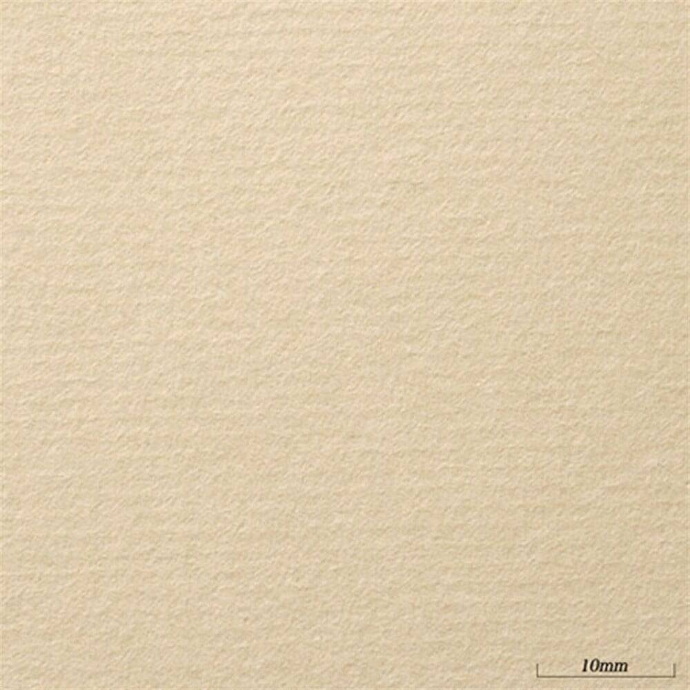 Awagami Japon Kağıdı Shin Inbe Thin Pear Brown 65 Gr/M2 109.1X78.8 Cm