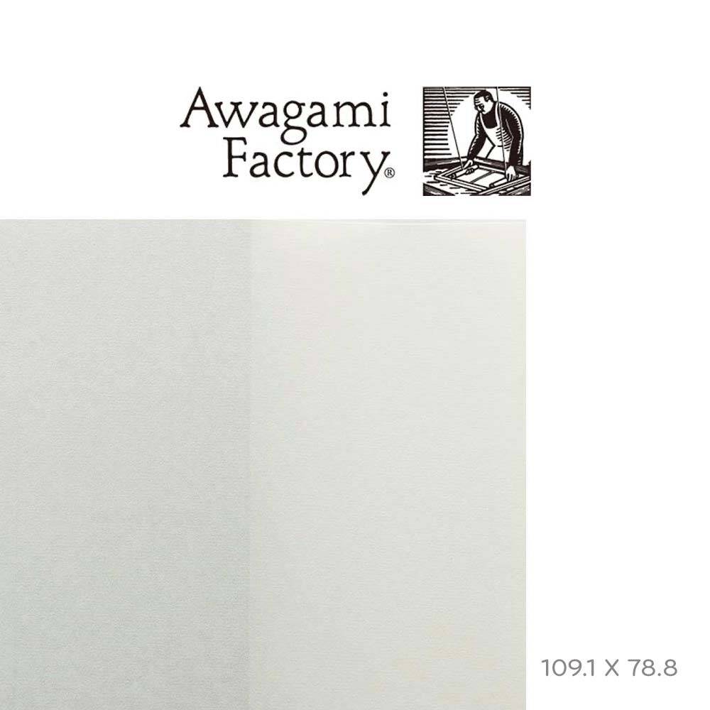 Awagami Japon Kağıdı Shin Inbe White 70 Gr/M2 109.1X78.8 Cm