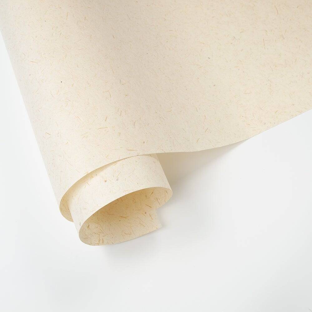 Awagami Japon Kağıdı Sugarcane Paper 60G/M2 97X64 Cm