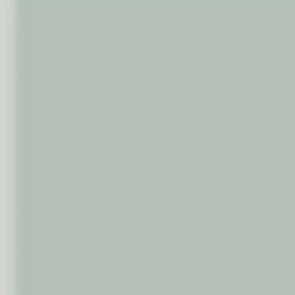 Brushmarker PRO Cool Grey 1