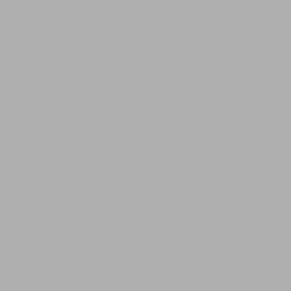 Brushmarker PRO Neutral Grey 1