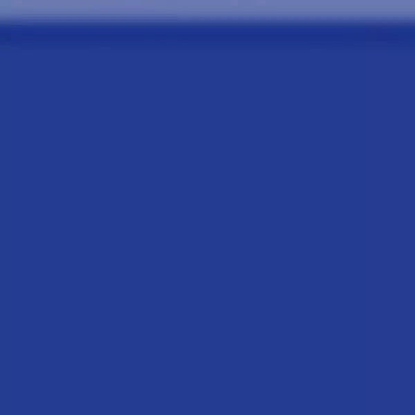 Brushmarker PRO Royal Blue