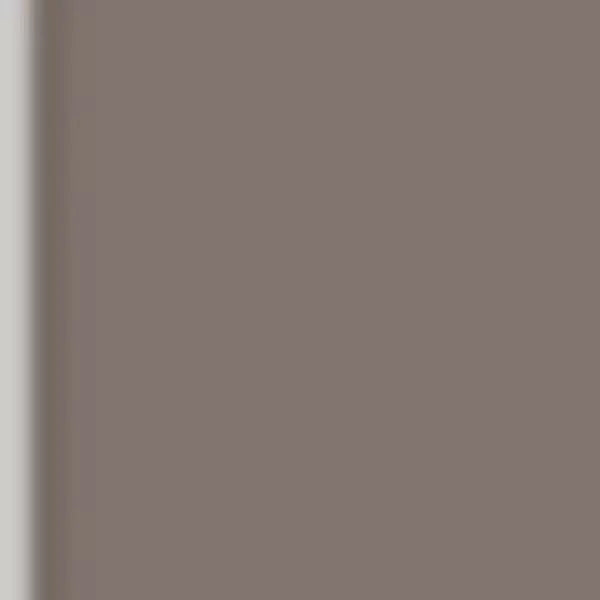Brushmarker PRO Warm Grey 3