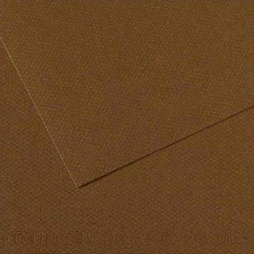 Canson Cardboard 160G A4 Brown 501