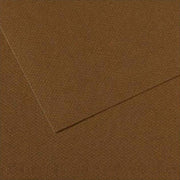 Canson Cardboard 160G A4 Brown 501