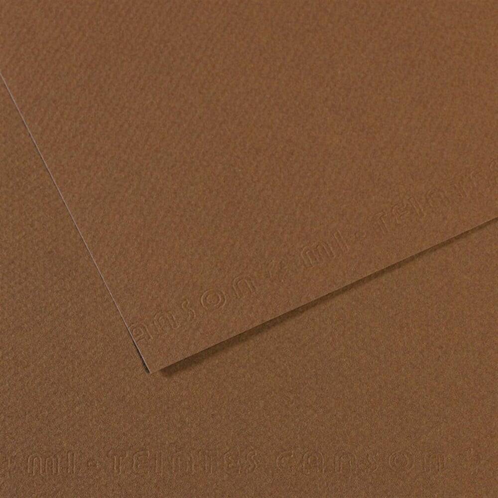 Canson Cardboard 50X65 160G Bro133