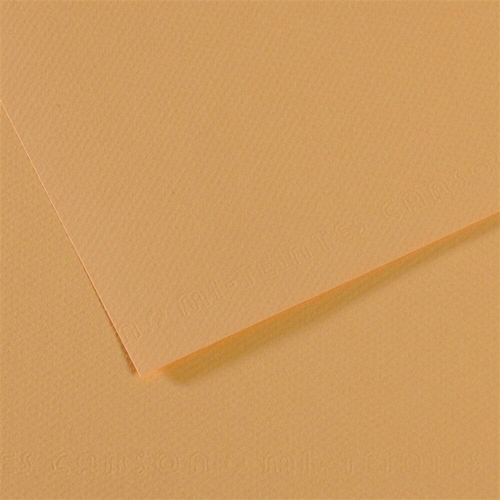 Canson Cardboard A4 160g 340
