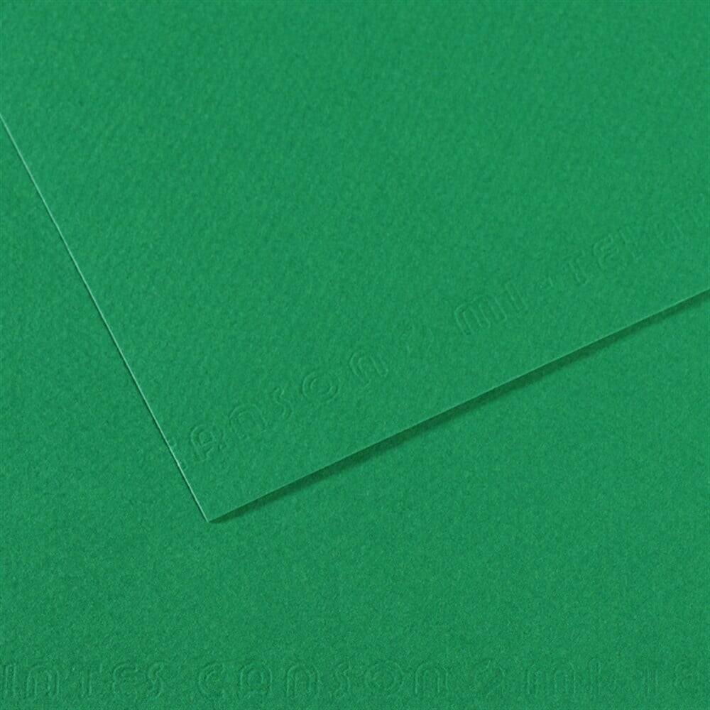 Canson Cardboard A4 160g V.billard575