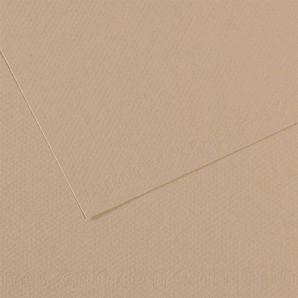 CANSON CARDBOARD 50X65 160G GRAY T. 343